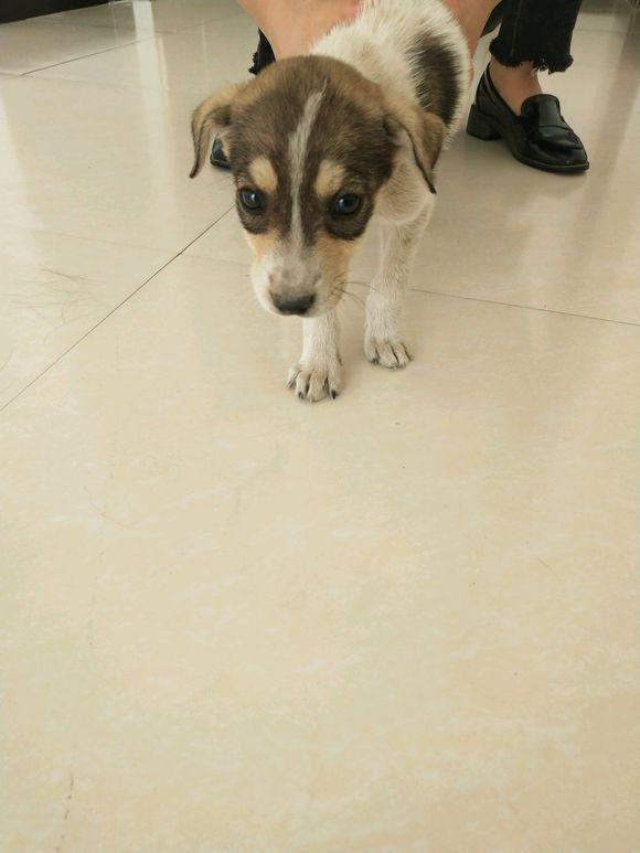 AG亚娱集团官方