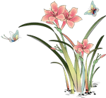 
以案说险丨消费者“如实见告”有多重要？‘AG亚娱集团’(图15)