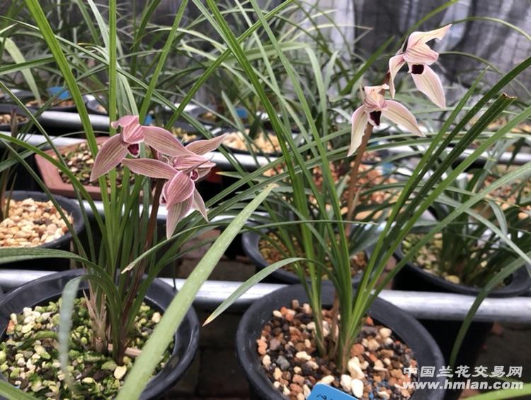 AG亚娱集团官方