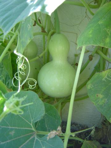 AG亚娱集团官方