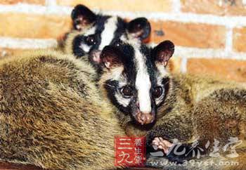 AG亚娱集团官方