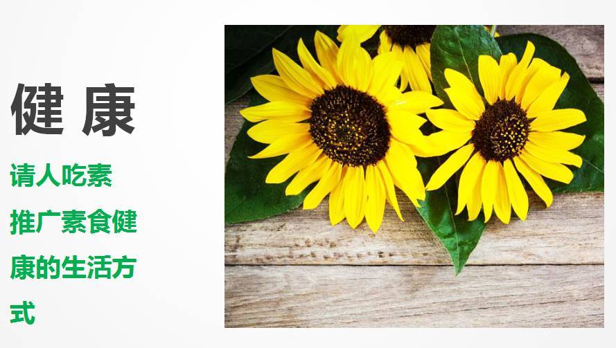 AG亚娱集团官方