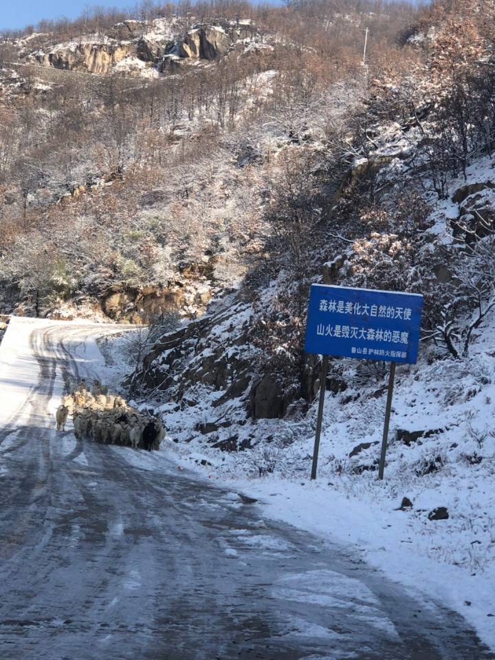 AG亚娱集团官方