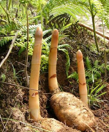 AG亚娱集团官方