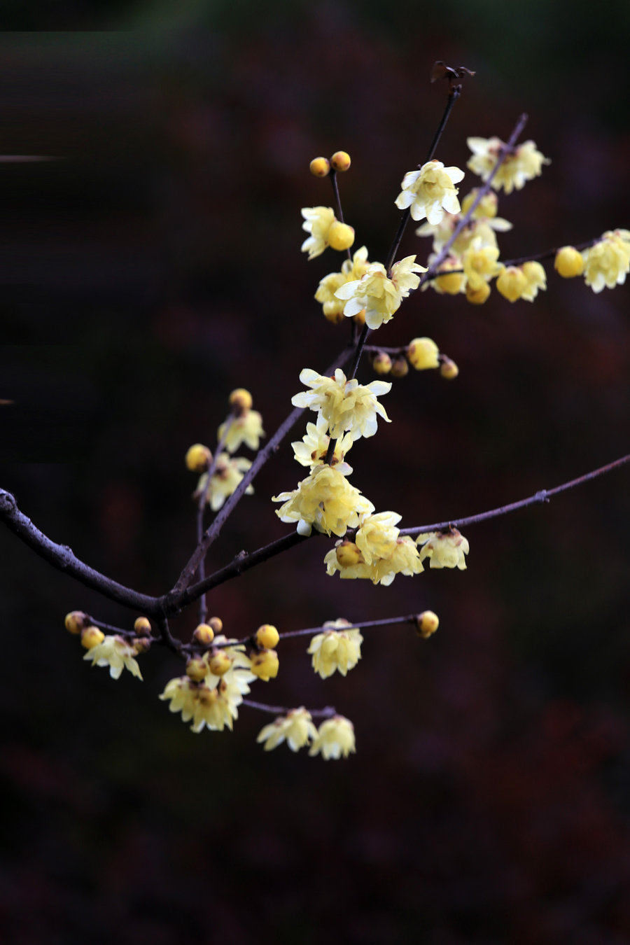 AG亚娱集团官方