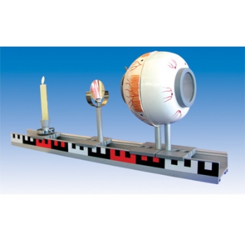 AG亚娱集团官方