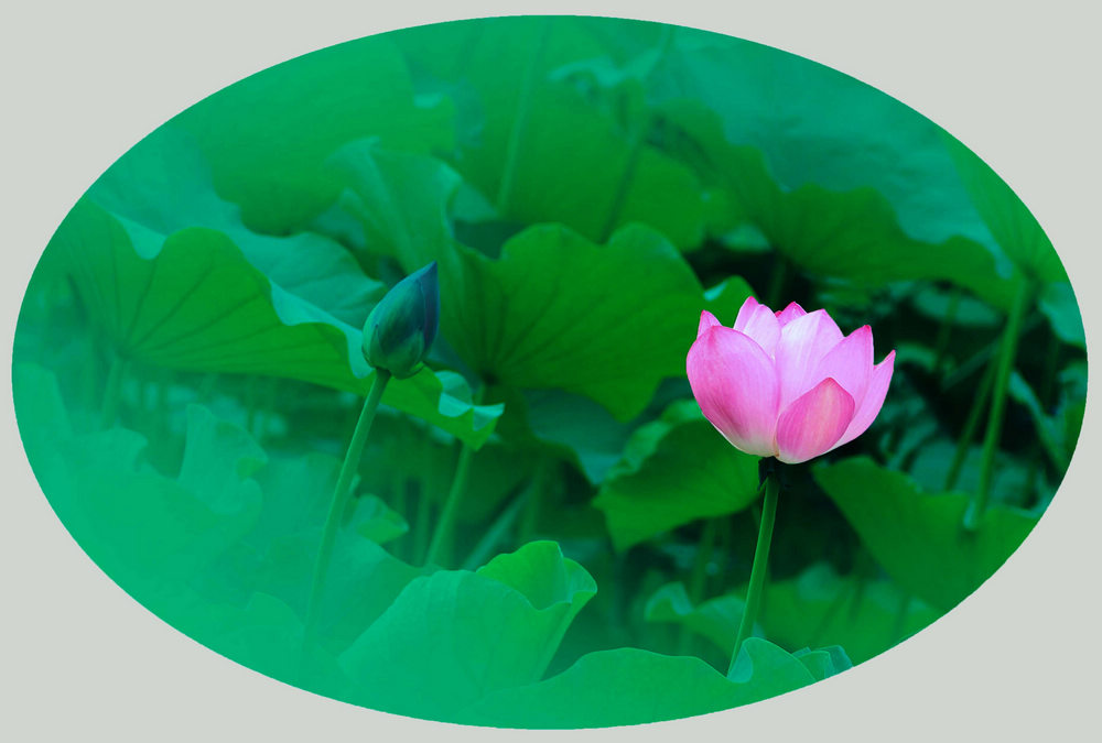 AG亚娱集团官方