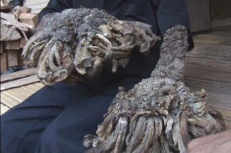 AG亚娱集团官方