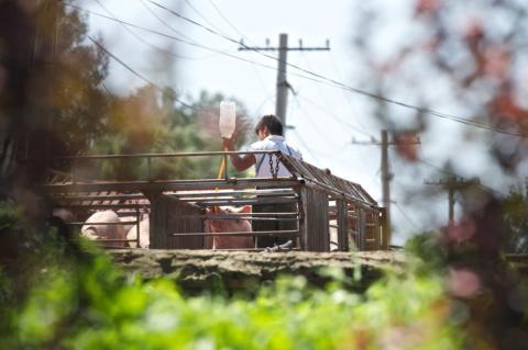 AG亚娱集团官方:西部期货:行业政策扰动 焦炭价格或先扬后抑(图1) ag亚娱官网