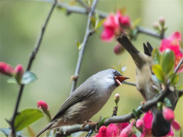 AG亚娱集团官方