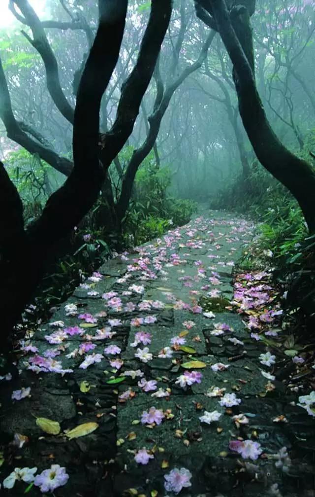 ag亚娱官网-我们普通工薪家庭,最需要什么保险?(图2) AG亚娱集团