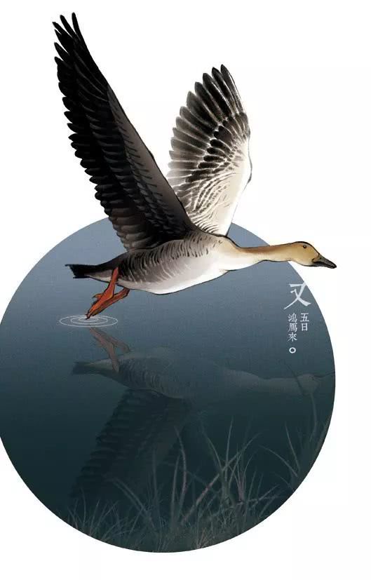 第560章 我是猎人!_ag亚娱官网(图1) AG亚娱集团官方