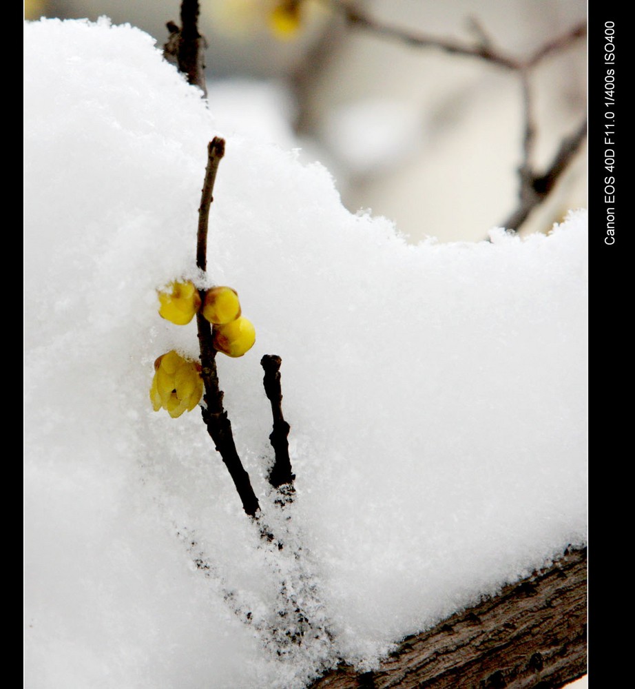 AG亚娱集团官方