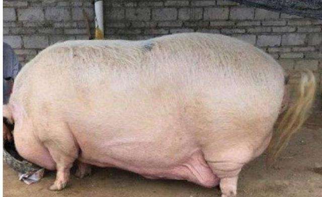 “ag亚娱官网”第847章 诱惑!(图3) AG亚娱集团官方