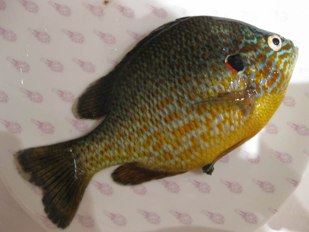 AG亚娱集团官方