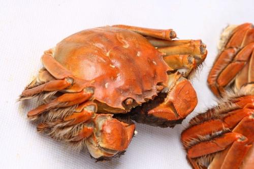 AG亚娱集团官方