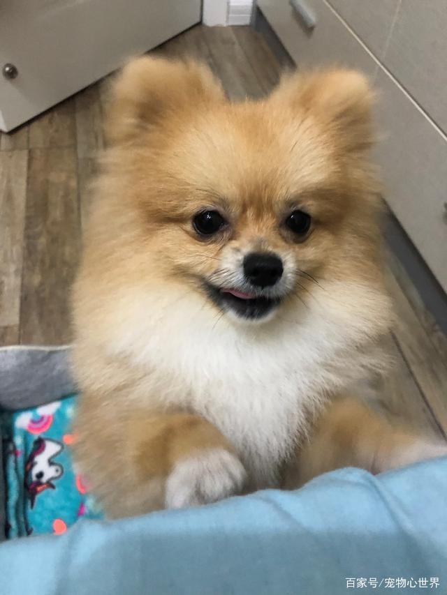 第1850章 抬着我走吧_ag亚娱官网(图4) AG亚娱集团官方