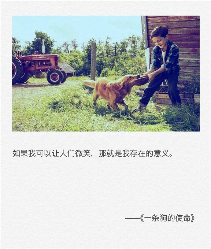 ‘AG亚娱集团官方’百度,恐将被遗忘!市值仅剩360亿美元,不及网易的419亿美元(图1) AG亚娱集团官方