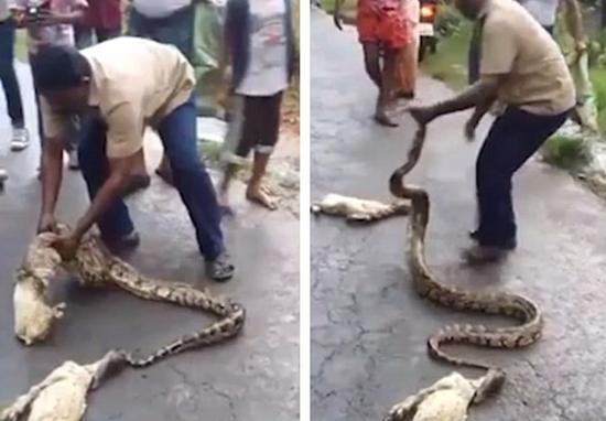 第3861章 一条冰狗_AG亚娱集团(图3) AG亚娱集团