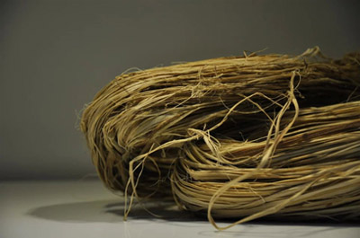 AG亚娱集团官方