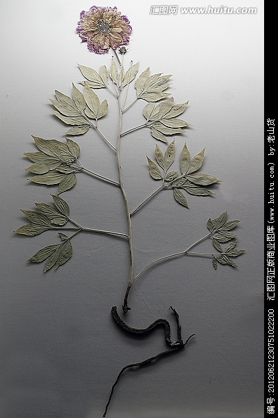 AG亚娱集团官方